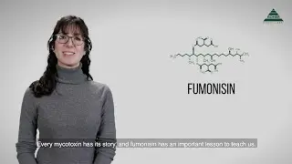 Mycotoxin Minute 70 - Fumonisin in Corn in Southeast Asia