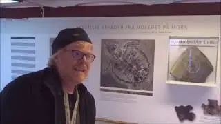 Henrik Madsen fort&aelig;ller om havskildpadden Luffe