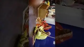 Puja.