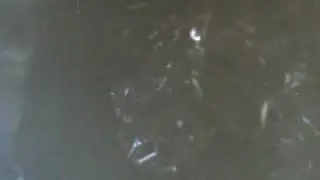 alobal v mikrovlnce