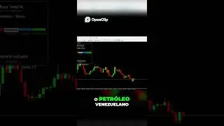 Petr&oacute;leo Venezuela  Mercado em Alerta Vermelho!