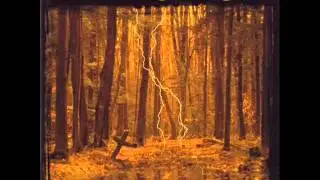 Nightingale - I return