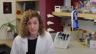 The Future of Pandemic Prepardness | Lexi Walls | TEDxUofW