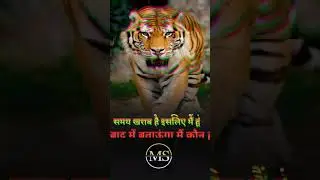 #subscribe#10kviews#exploration#india#motivationalquotes#motivation#motivational#shortvideo#status