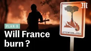 Climate change: Is France prepared for more forest fires?