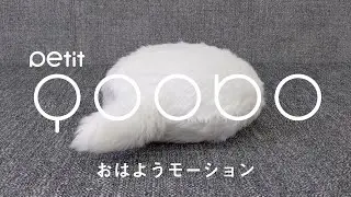 Petit Qoobo おはようモーション例｜小さくなった、心を癒やす、しっぽクッション。