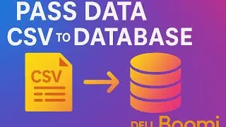 Pass data CSV to Database format in dell boomi