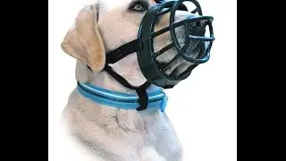 Review: Baskerville Ultra Muzzle for Dogs Black