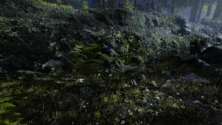 Unity Photorealistic raining scene with HDRP and Quixel