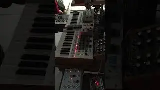 Bad Drone Jam my/ Dark Energy -Ritm2 - Dreadbox #electronicmusic #music #analogsynth #techno #cat