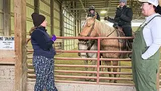 Познакомьтесь с двумя &laquo;Всадниками из Кеттл-Морейн&raquo; | Лучшие друзья в конюшне