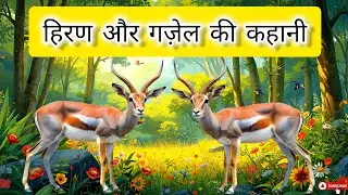 हिरण और गज़ेल की कहानी | Antelope & Gazelle Hindi Animated Moral Story