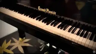 SEGA 2007 Grand Pianist Toy - Mesmerizing!!!