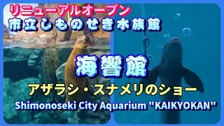 4K【海響館】アザラシ・スナメリ・アシカのショー（下関市）Seal and Finless Porpoise shows at Shimonoseki City Aquarium