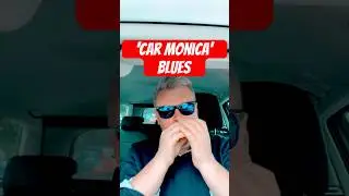 Harmonica riff with VW acoustics 😎 Vdubz #bluesharp #harmonicablues #harmonicaplayer