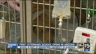 First state veterinary school opens in Glendale