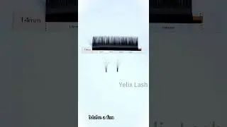 🎀Yelix Camellia Lashes With Adhesive #lashes #eyelashextensions