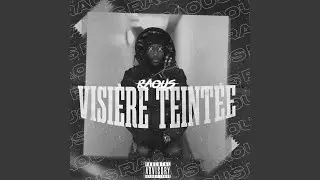 Visi&egrave;re teint&eacute;e