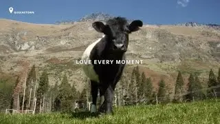 Walter Peak Farm Tour Queenstown - Meet the locals - Real Journeys