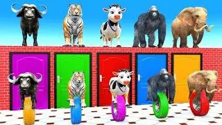 Long Slide Game With Cow Elephant Gorilla Hippopotamus Tiger 3d Animal Game Funny 3d Animals