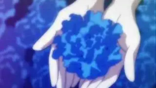 Casshern Sins Where Will You Go AMV