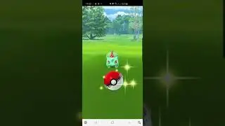 50 Fabelhafte Würfe für ... [PokemonGo 2020-07-05]