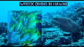Hurshh Goes Diving In Hawaii!!!