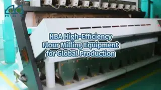 HBA High-Efficiency Flour Milling Equipment for Global Production