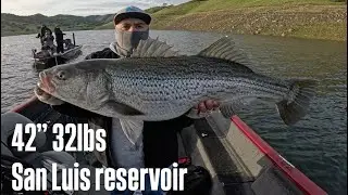 Крупный окунь на водохранилище Сан-Луис, ловля и отпускание, длина 42 дюйма, вес 32 фунта.