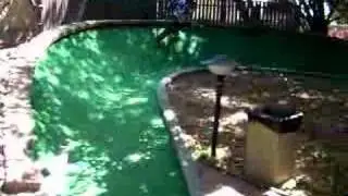 Sonic Curve Run (Jeebess Style!)