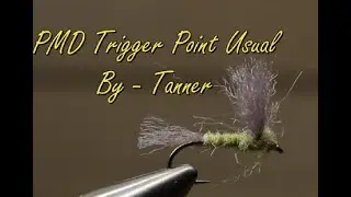 PMD Trigger Point Usual