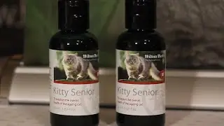 Kitty Senior - Herbal Mobility Supplement for Cats - Product Description