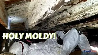 Crawl Space Mold Remediation | Greensboro, NC