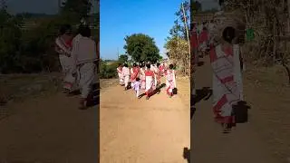 चाला टोंका कालों बिरी #shortvideo #yt #viralvideo #shortsfeed #short