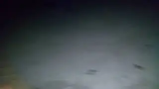 Wwwmmm