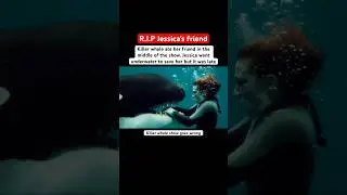 The Killer Whale and Jessica incident