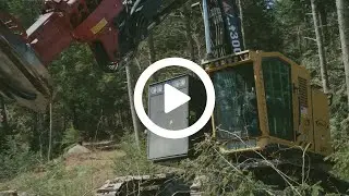 Weiler in the Woods: What customers are saying about Weiler Forestry