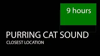 Purring Cat Sound Closest Location 9 hours. Best For Work, Concentration, Lock in, Meditation, Sleep