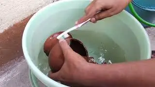 How to prepare hiding places for fish
