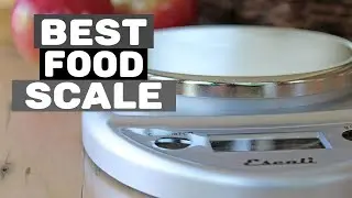 Best Food Scale on Amazon in 2024