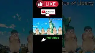 CAT MEMES : FAMILY ROADTRIP TO THE NEW YORK ( AMERICA ) PART 2