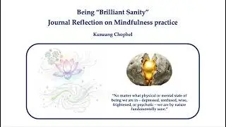 Being Brilliant Sanity: A Contemplative Psychotherapist's Reflection on Mindfulness (Chophel, 2020)