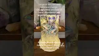 Your Oracle Card of the Day #oraclecard #frog