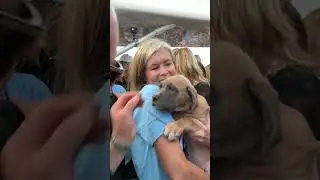 PAART PITTSBURGH AVIATION PUPPY RESCUE FROM KENTUCKY ~ ANNUAL FUNDRAISER FOR ANIMALS CRUELLA DEVILLE