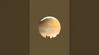 Saudi-labour velog is live!