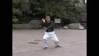 Southern Dragon Style Transforming the Extreme Fist