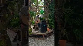 lovely voice acoustic singing