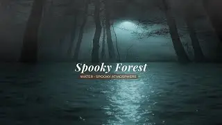 Spooky Forest | Cozy Halloween Ambience &ndash; Moonlit Night with Wind, Owls, Wolves & Water (3 Hours)