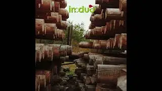 Holzmasten