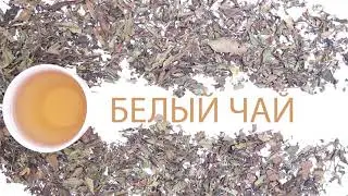 БЕЛЫЙ ЧАЙ pau mu tan (пау му тан)